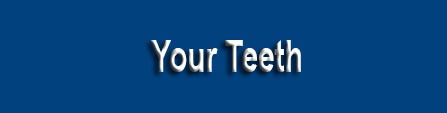 dr_Sabieha_Pediatric_Dentistry_Orthodontics_yourteeth.png